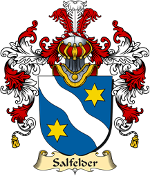 German Coat of Arms (v.25b) Salfelder