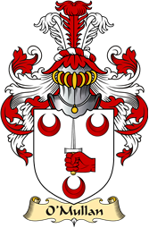 Irish Family Coat of Arms (v.23) for O