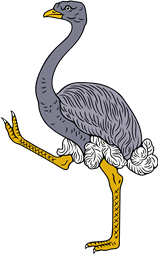 Ostrich