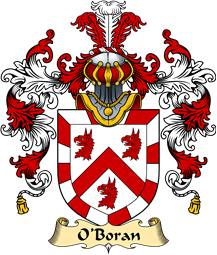 Irish Family Coat of Arms (v.25a) O