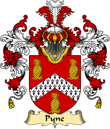 Irish Family Coat of Arms (v.25a) Pyne