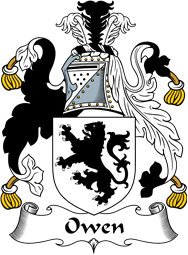 English Coat of Arms for the family Owen I