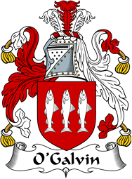 Irish Coat of Arms for O