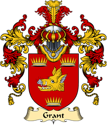 Irish Family Coat of Arms (v.25a) Grant
