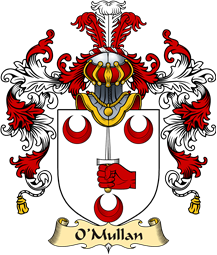 Irish Family Coat of Arms (v.25a) O
