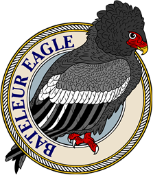 Bateleur Eagle-M