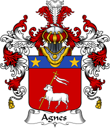 Italian Family Coat of Arms (v.25b) Agnes