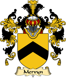 Irish Family Coat of Arms (v.25a) Mervyn