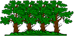 Oak Trees or a Hurst, or a Wood