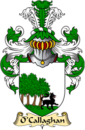 Irish Family Coat of Arms (v.23) for O