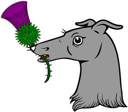 Greyhound Hd Holding Thistle