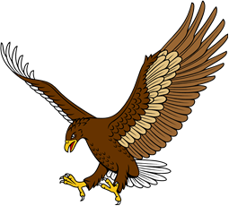 Eagle Attacking