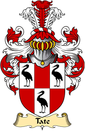 Irish Family Coat of Arms (v.23) for Tate