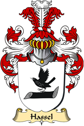 v.23 Coat of Family Arms from Germany for Hassel