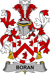 Irish Coat of Arms for Boran or O