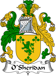 Irish Coat of Arms for O