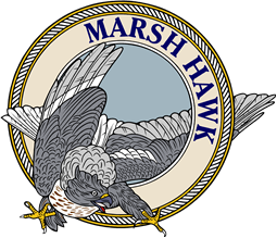 American Marsch Hawk-M