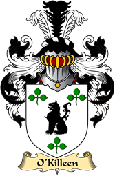 Irish Family Coat of Arms (v.23) for O