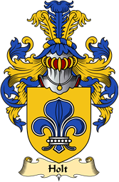 English Coat of Arms (v.23) for the family Holt II