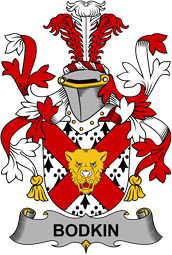 Irish Coat of Arms for Bodkin