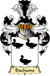 French Family Coat of Arms (v.23) for Duchesne