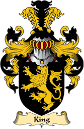 Irish Family Coat of Arms (v.23) for King