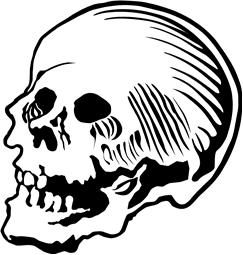 Skull 2