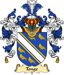 English Family Coat of Arms (v.25) Tonge or Tong