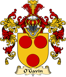 Irish Family Coat of Arms (v.25a) O