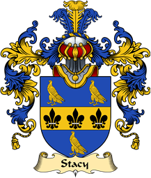 English Family Coat of Arms (v.25) Stacy (e)