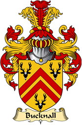 English Coat of Arms (v.23) for the family Bucknall or Bucknell