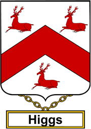 English Coat of Arms Shield Badge for Higgs