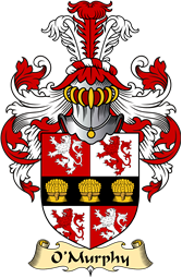 Irish Family Coat of Arms (v.23) for O