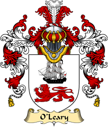 Irish Family Coat of Arms (v.25a) O