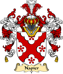 English Family Coat of Arms (v.25) Napier