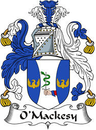 Irish Coat of Arms for O