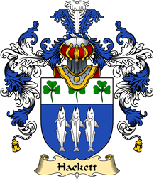 Irish Family Coat of Arms (v.25a) Hackett