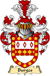 Irish Family Coat of Arms (v.23) for Burges