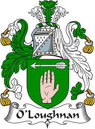 Irish Coat of Arms for O