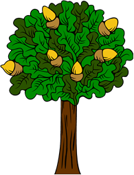 Oak Tree