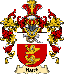 Irish Family Coat of Arms (v.25a) Hatch