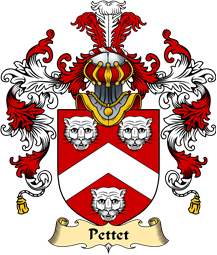 English Family Coat of Arms (v.25) Pettet