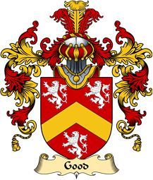 English Family Coat of Arms (v.25) Good
