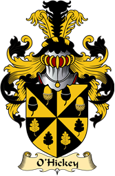 Irish Family Coat of Arms (v.23) for O