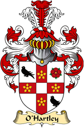 Irish Family Coat of Arms (v.23) for O