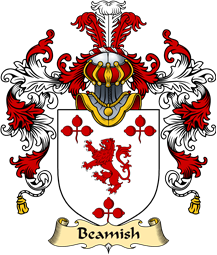 Irish Family Coat of Arms (v.25a) Beamish