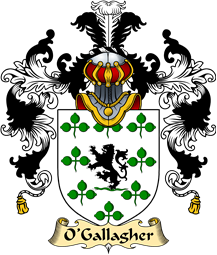 Irish Family Coat of Arms (v.25a) O
