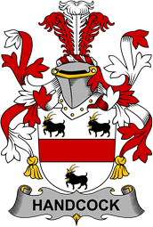 Irish Coat of Arms for Handcock