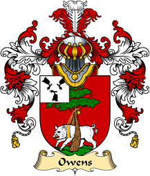 Irish Family Coat of Arms (v.25a) Owens