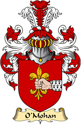 Irish Family Coat of Arms (v.23) for O